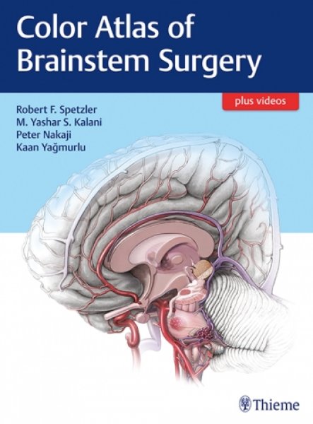 画像1: Color Atlas of Brainstem Surgery (1)