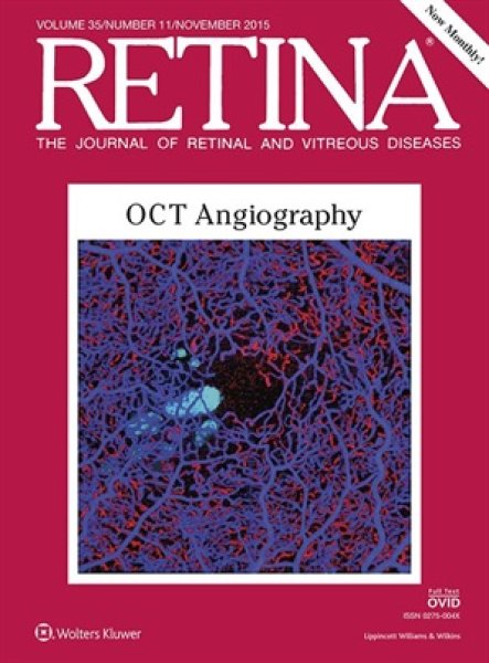 画像1: OCT Angiography (Journal "RETINA" vol.35 no.11 2015) (1)