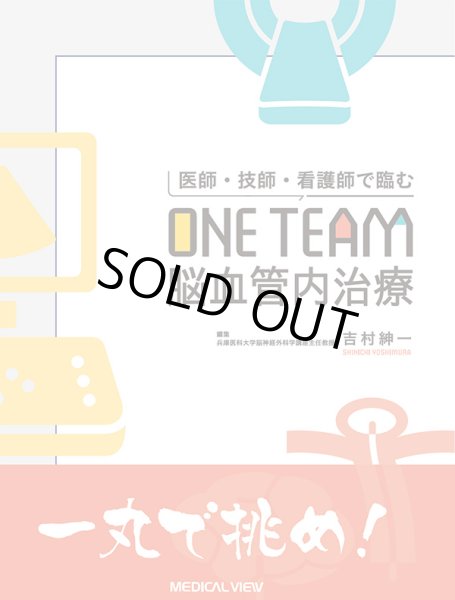 画像1: 医師・技師・看護師で臨む  ONE TEAM脳血管内治療 (1)