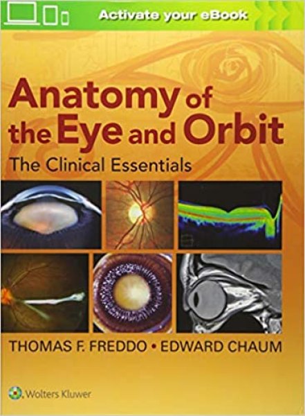 画像1:  Anatomy of the Eye & Orbit  - Clinical Essentials (1)