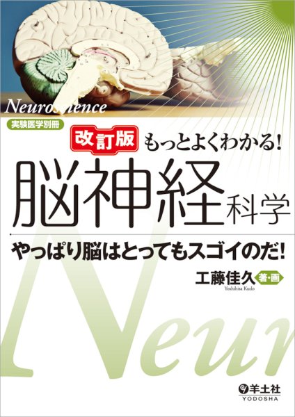 画像1: 改訂版　もっとよくわかる！脳神経科学 (1)