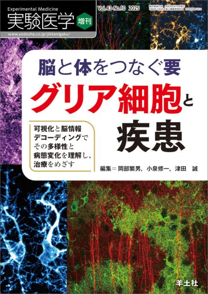 画像1: 脳と体をつなぐ要　グリア細胞と疾【実験医学 増刊 2025】 (1)